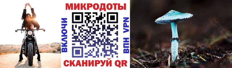 где найти наркотики hydra ссылка Псилоцибиновые грибы Magic Shrooms Новоаннинский